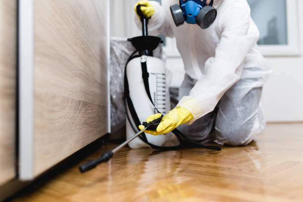 Best Residential Pest Control  in Morningside, MD
