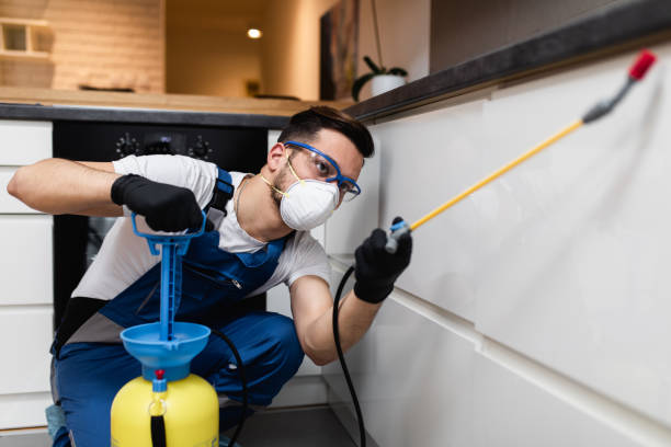 Best Rat Extermination Near Me  in Morningside, MD