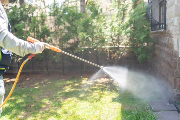 Best Pest Control Near Me in Morningside, MD